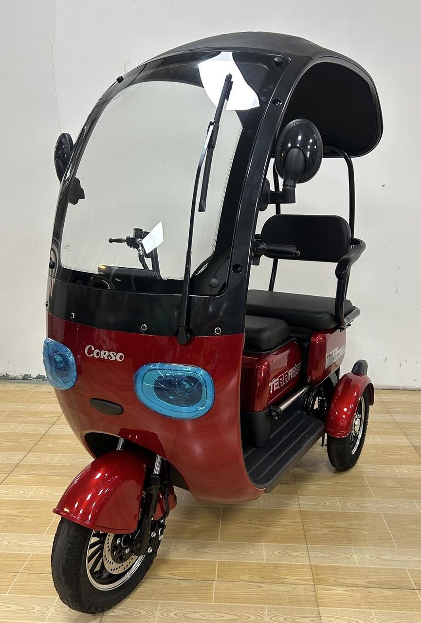 Електричний трицикл Corso Terra 800w-72Вт-20Ah шини 10"-10" купити в інтернет-магазині