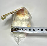 Сквіш « Таба лапка» Пухнастий рудий котик, фото 7