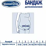 Бандаж до/післяпологовий Білосніжка Mod: 202, розмір №2 (85-95 см), фото 3