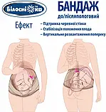 Бандаж до/післяпологовий Білосніжка Mod: 202, розмір №2 (85-95 см), фото 5