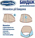 Бандаж до/післяпологовий Білосніжка Mod: 202, розмір №2 (85-95 см), фото 6