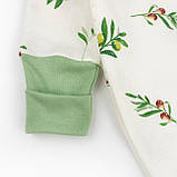 Чоловічок начісний для немовлят на блискавці з гілочкою оливи Olive, фото 4