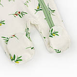 Чоловічок начісний для немовлят на блискавці з гілочкою оливи Olive, фото 5