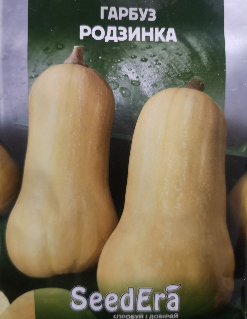 Гарбуз Родзинка 20 г