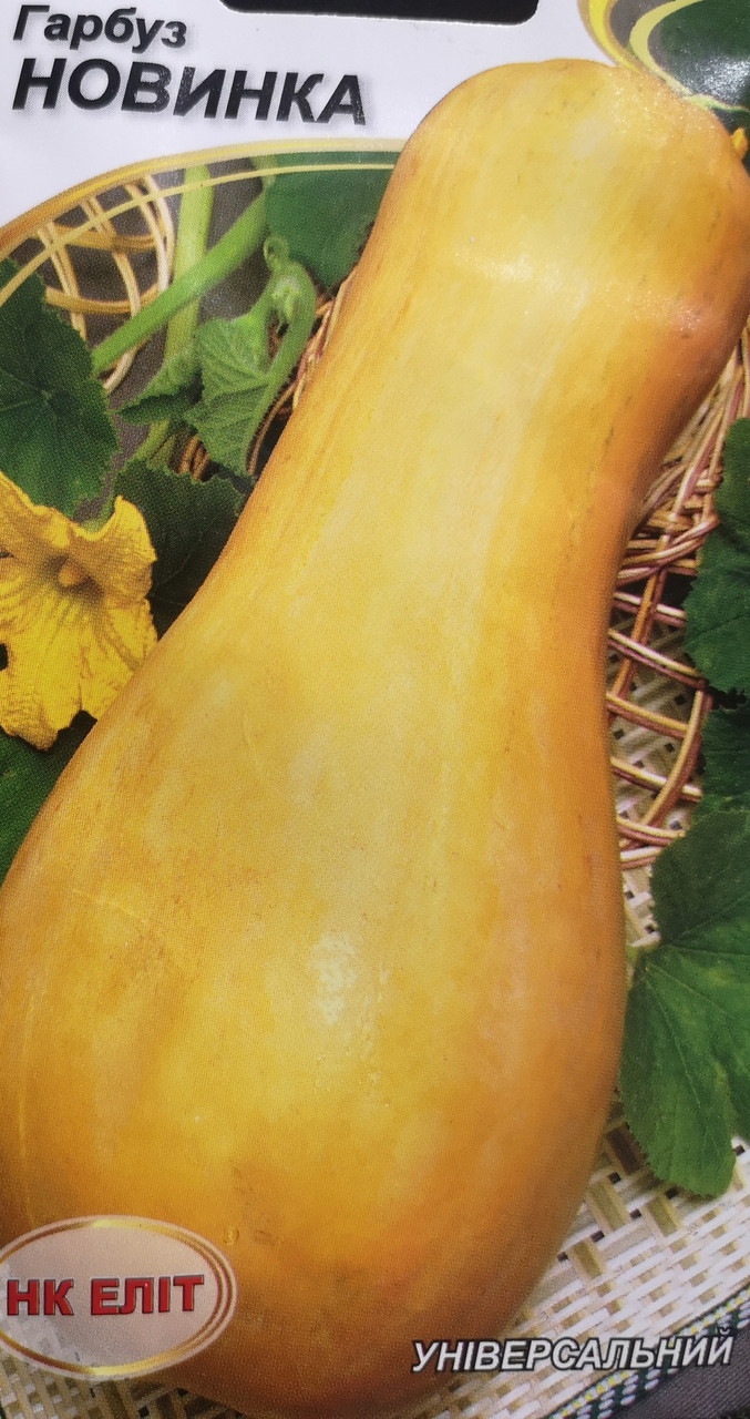 Гарбуз Новинка 10 шт.