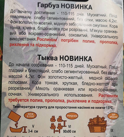 Гарбуз Новинка 10 шт., фото 3