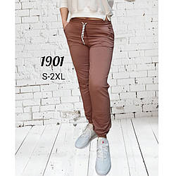 Турецькі жіночі Штани з манжетом і поясом на гумці Розміри: 42,44,46,48,50 (31114-3)