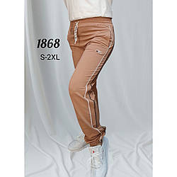 Жіночі штани спортивні "Туреччина" Розміри: 42,44,46,48,50 (31116-2)