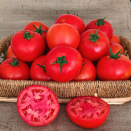 Насіння томату Оскар F1 (Oscar F1) Manier Seeds 1000, фото 1