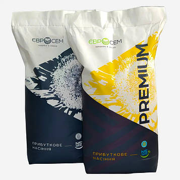 Насіння соняшнику ГРУТ (НС 6343) Преміум