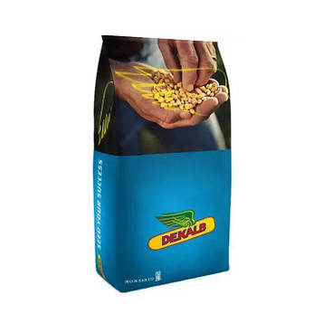 Насіння кукурудзи ДКС 4943 (ФАО 390)