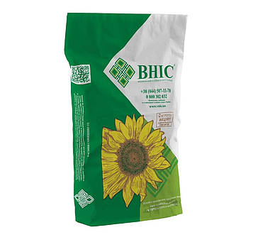 Насіння соняшнику ТЕНЕТ, ВНІС (гранстар)