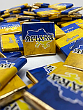 Шоколад молочний преміум якості патріотичний Слава ЗСУ Міні плитки шоколаду 6 грам 100 шт, фото 10
