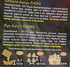 Цибуля БАТУН 10г., фото 6