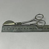 #6 - Ножиці для аплікації та підрізування - 15,2 см, фото 3