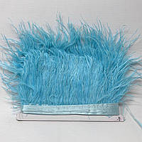 50 см - Пір'я страуса на стрічці 8-10 см - лазуровий