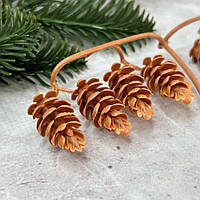 Декоративні гілочки