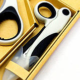 Набір ножиць 3шт Golde Phoenix, фото 5