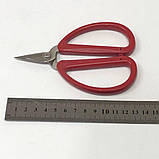 Ножиці Pin-5553 з великими ручками, фото 4