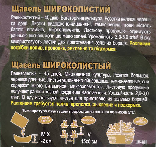 Щавель Широколистий 5 г, фото 3