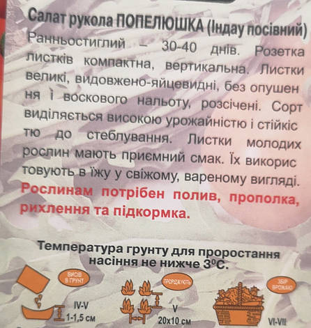 Салат рукола Попелюшка (Індау посівний) 2г, фото 3