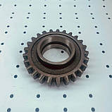 Шестерня заднього ходу КПП ЮМЗ паразитна (твердість 56 одиниць) 36-1701082, фото 5