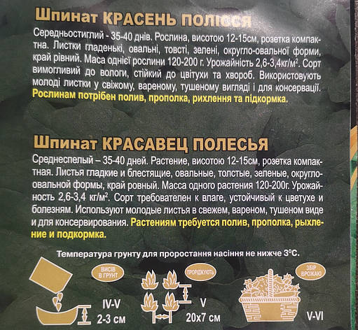 Шпинат красень полісся 10г, фото 3