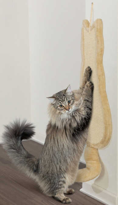 Trixie TX-43112 Cat Scratching Board — Кігтеточка 69*35 см