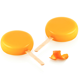 Форма для морозива GEL19B ROUND Silikomart GEL19B ROUND