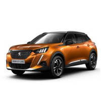 Килимки Peugeot 2008 з 2019-