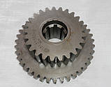 Блок шестерень 151.37.350-5 нового зразка z=25х39 коробки передач тракторів ХТЗ 243К,Т150, фото 3