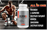 Спалювач жиру SPORTER BURN6 120 капсул, фото 2