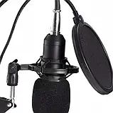 Студійний комплект для запису з мікрофоном і звуковою картою з вітрозахистом, фото 2