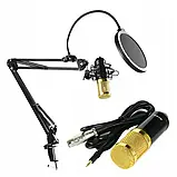 Студійний комплект для запису з мікрофоном і звуковою картою з вітрозахистом, фото 3