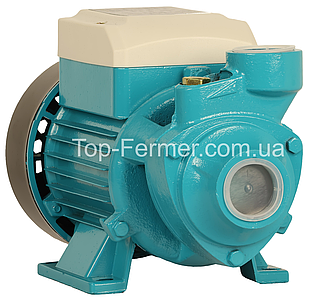 Поверхневий вихровий насос QB 60 водяний чавунний маленький для поливу NEK QB60