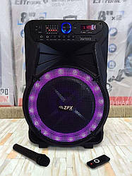 Акумуляторна акустика з мікрофоном ZPX ZX 7772