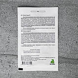 Огірок Саунд F1 10 шт партенокарпічний насіння пакетоване Агропак, фото 2