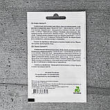 Огірок Тріоле F1 10 шт партенокарпічний насіння пакетоване Агропак, фото 2