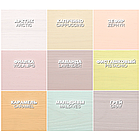 Акрилове просочення для дерева Bionic House Pastel Wood Color всі кольори 0.8л, фото 4