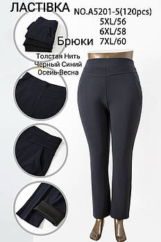Штани жіночі Ластівка, розміри 5XL-7XL, асорті, А5201-5