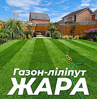 Низькоросла газонна трава Спорт міні від Авторський газон ліліпут Жара Холод Навантаження