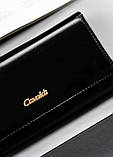 Гаманець жіночий 4U Cavaldi Black PX24-20-BL, фото 2