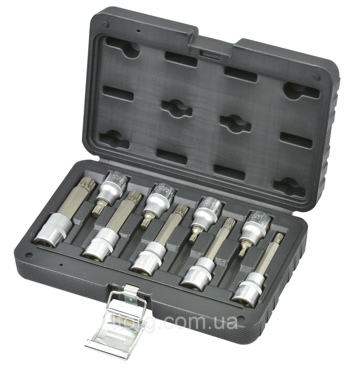 Whirlpower Набір головок зі вставками Spline 1/2" 9од. пластик. кейс