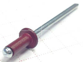 Заклепка відривна кольорова пофарбована по RAL