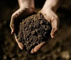 Торф,земля з добривом для посадки