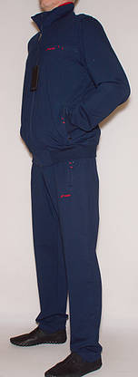 Чоловічий спортивний костюм з прямими брюками Fore2289L,XL,XXL, 3XL, фото 3