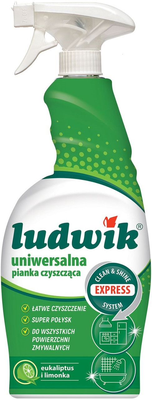 Піна-спрей для чищення універсальна Ludwik Express System 750 мл
