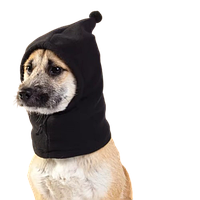 Маска Шапка для собаки балаклава (фліс) чорна АВС