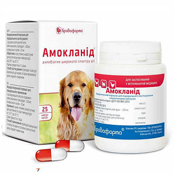 Амокланід капсули 0,5 г №25 Бровафарма