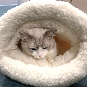 Будиночок для тварин лежанка для котів та собак мішок з плюшу та поліестеру 33 х 55 см блакитний